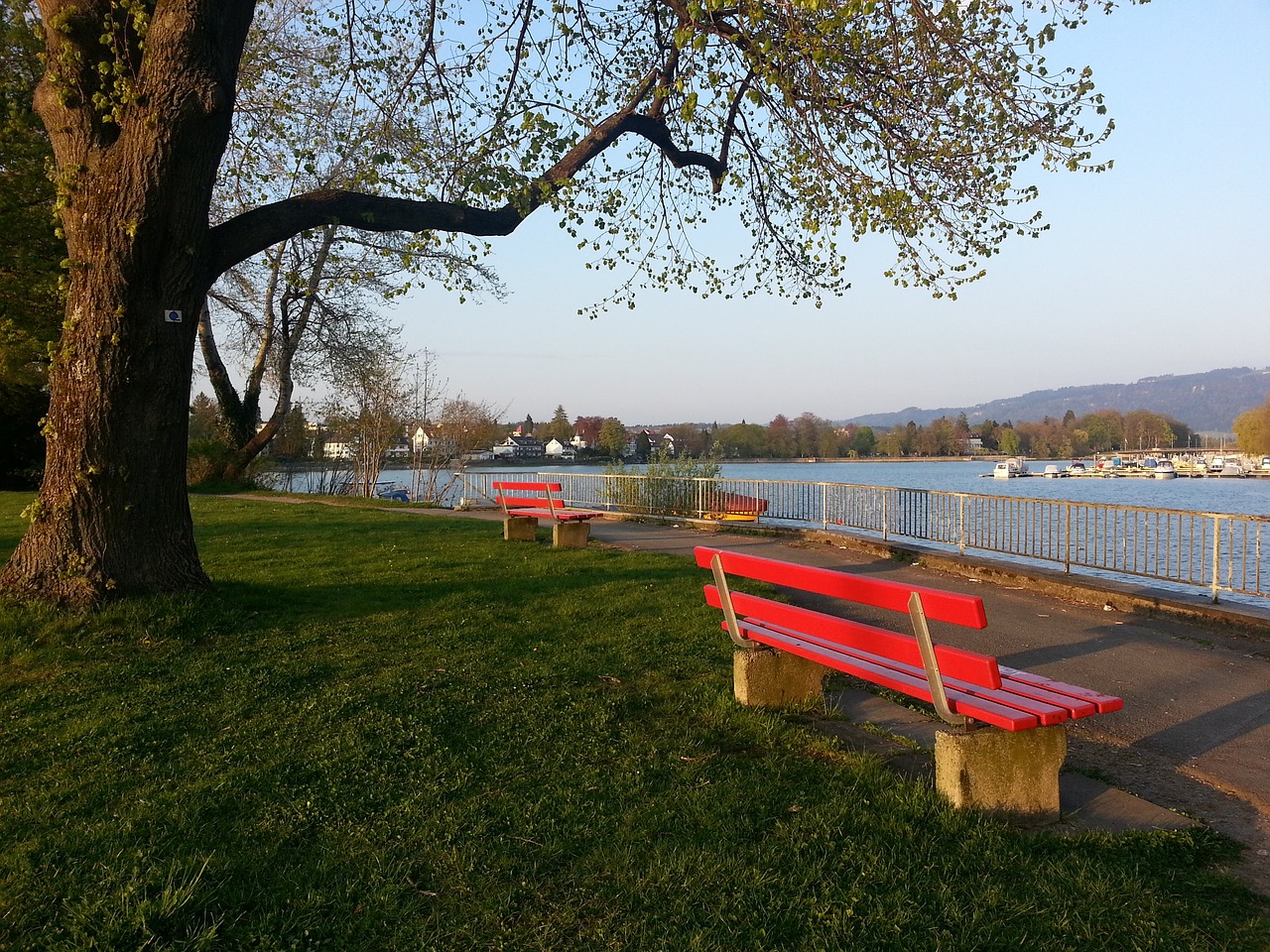 决策与时机 决策与时机