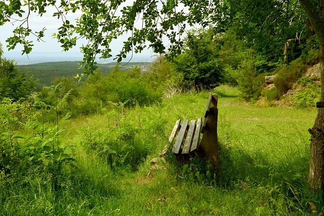汰赛将是对 汰赛将是对