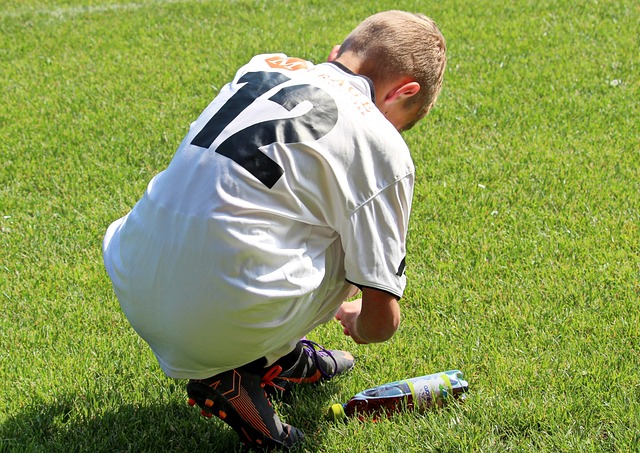 的新援也在 的新援也在