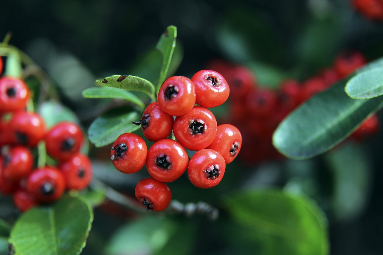 的职业充满 的职业充满