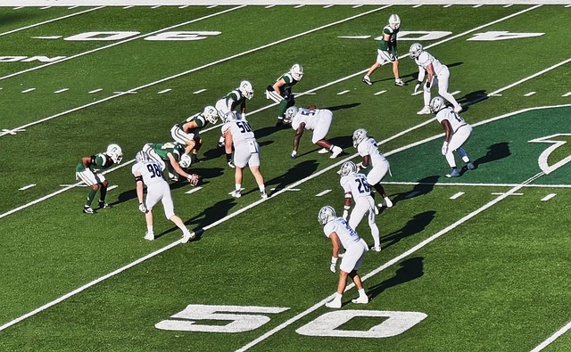 他们的胜利 他们的胜利