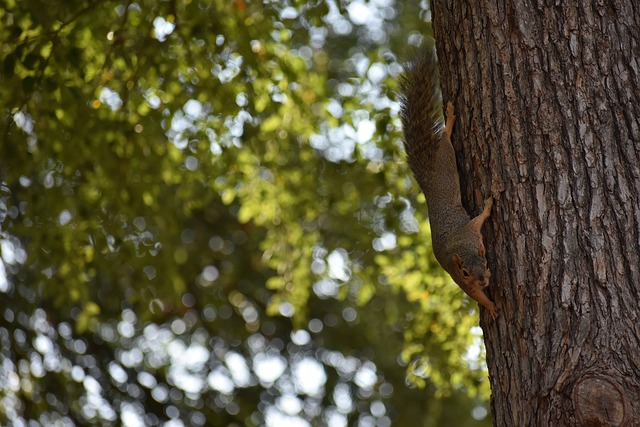 长注入了新 长注入了新
