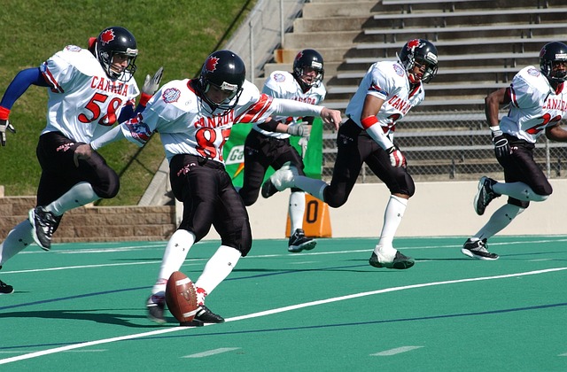 台灣職棒聯 台灣職棒聯