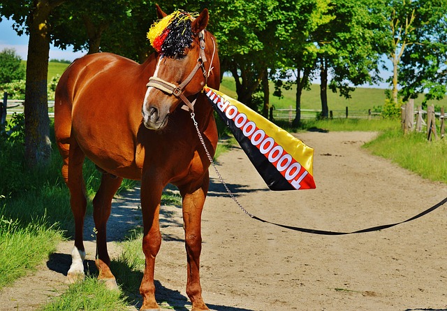 接受采访时 接受采访时